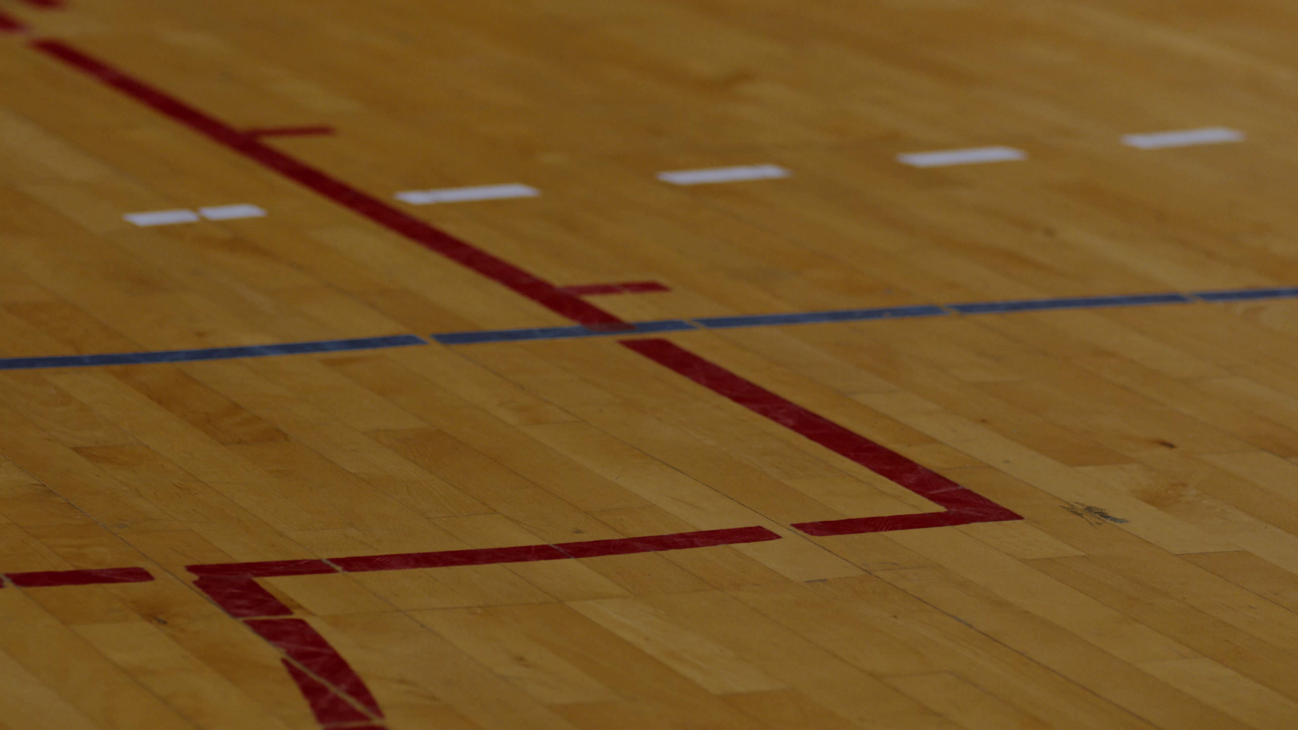 Iconic basketball trading cards display